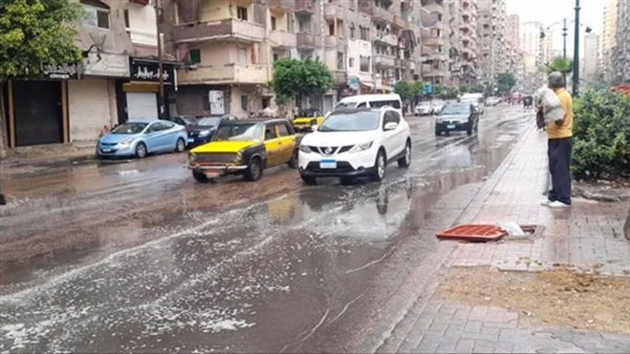 توقعات الطقس في مصر من 12 إلى 16 ديسمبر: تفاصيل الأمطار ودرجات الحرارة المتوقعة